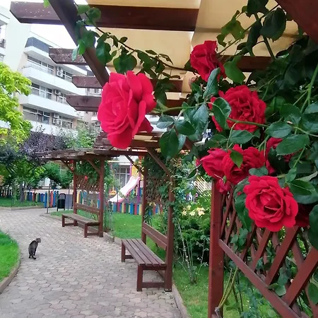 Grand Kamelia Sunny Apartment *