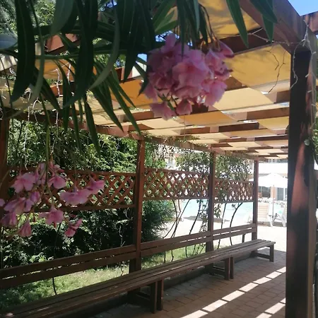 Apartment Grand Kamelia Sunny